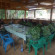 Toughbooks help Anti Poaching Group in Africa.